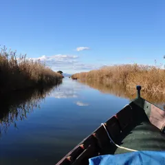 Naturpark Albufera